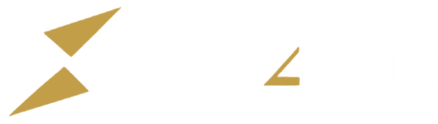 NETZONE Management Services